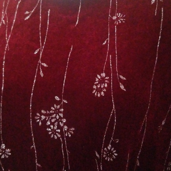 Beautiful Velvet Blouse - Picture 3 of 8